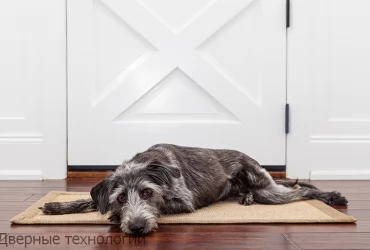 Как защитить входную дверь если есть домашние животные